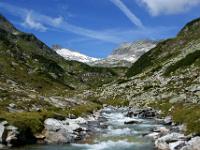 Der Kleinelendbach rauscht aus den Bergen ins Tal